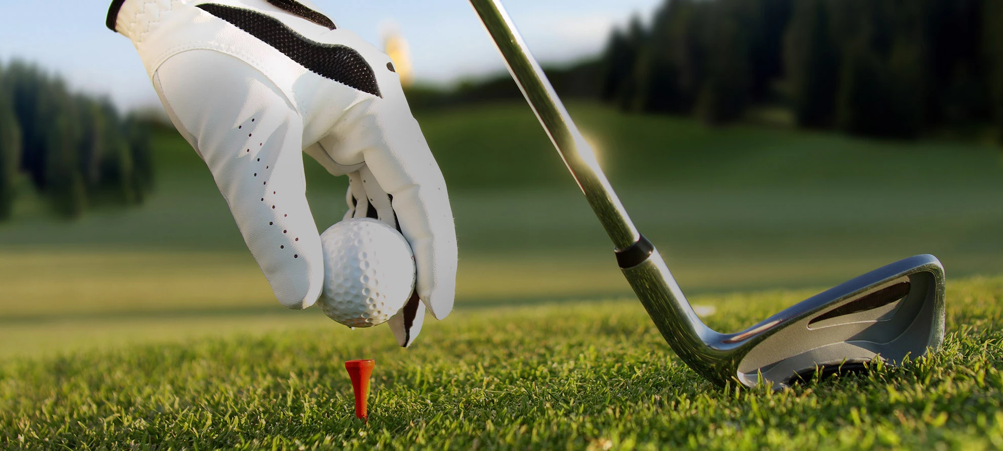 GolfGearPro 2 GolfGearPro -GolfGearPro header golf modificata